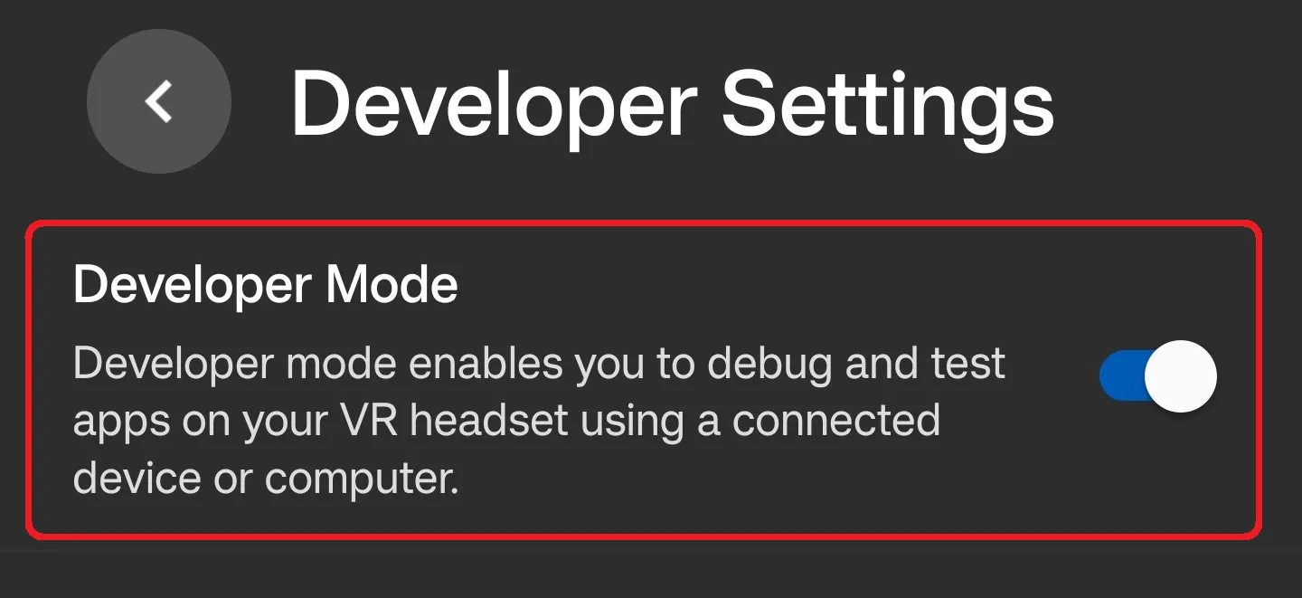 Developer Mode on Meta Horizon