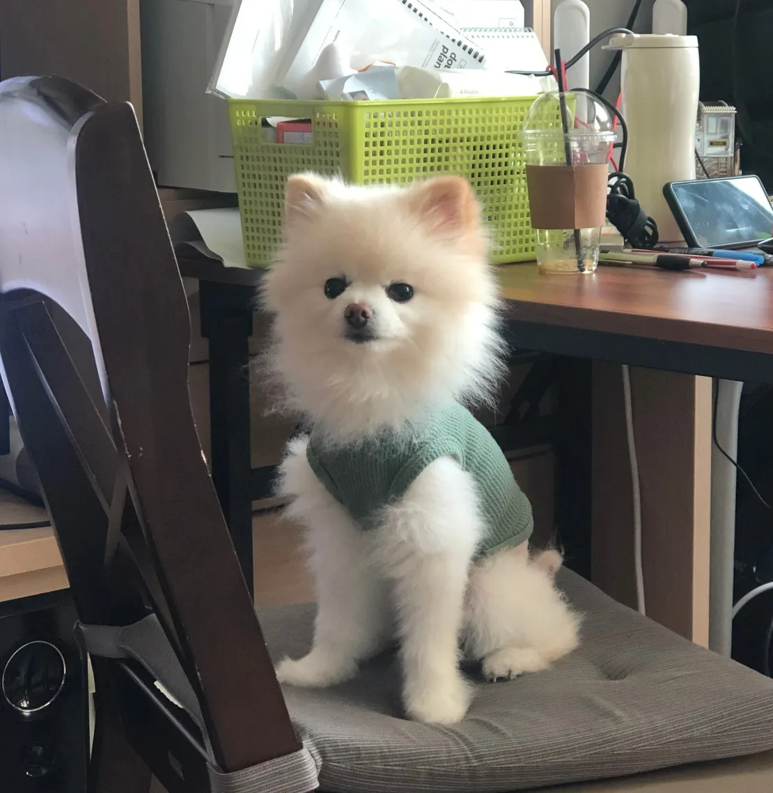 Profile Image of the Author